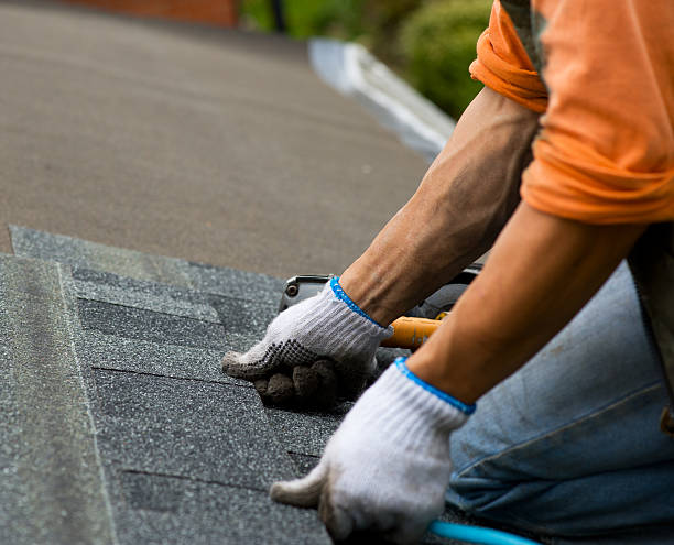 Professional Roofing Contractor in Sauk Centre, MN